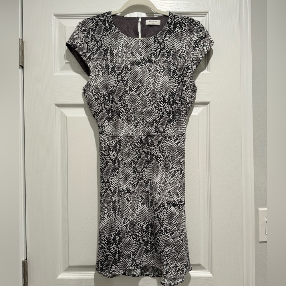 Aritzia Babaton Dress